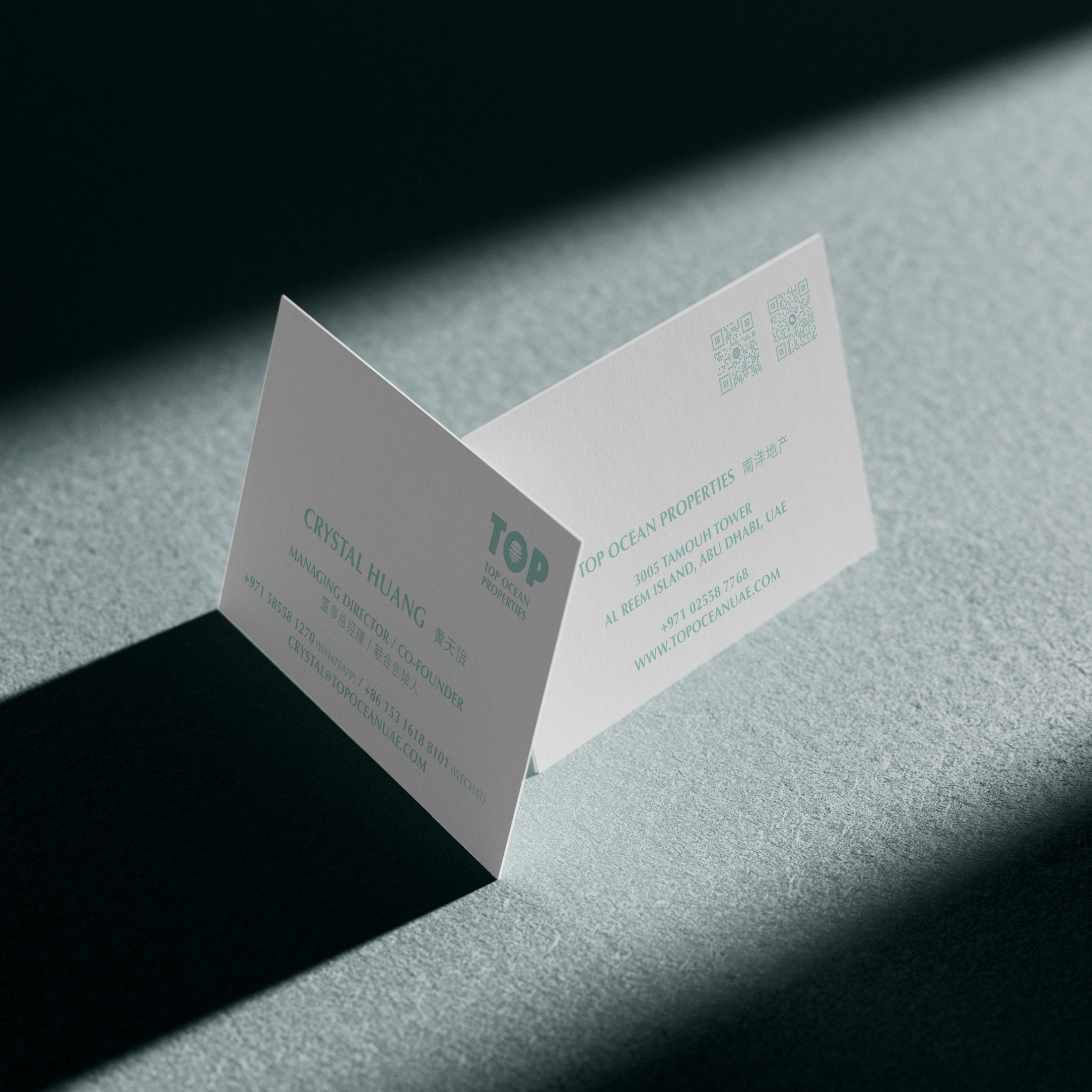 TOP Ocean Properties 南洋房产