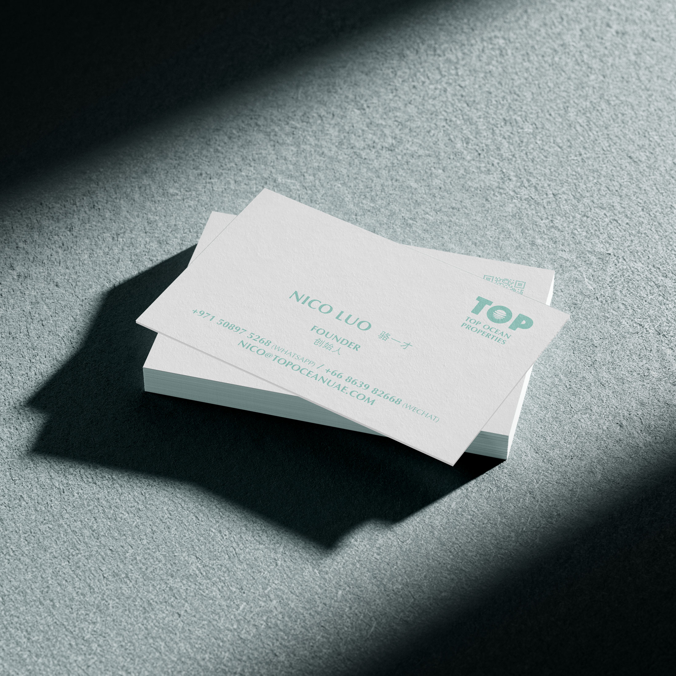 TOP Ocean Properties 南洋房产